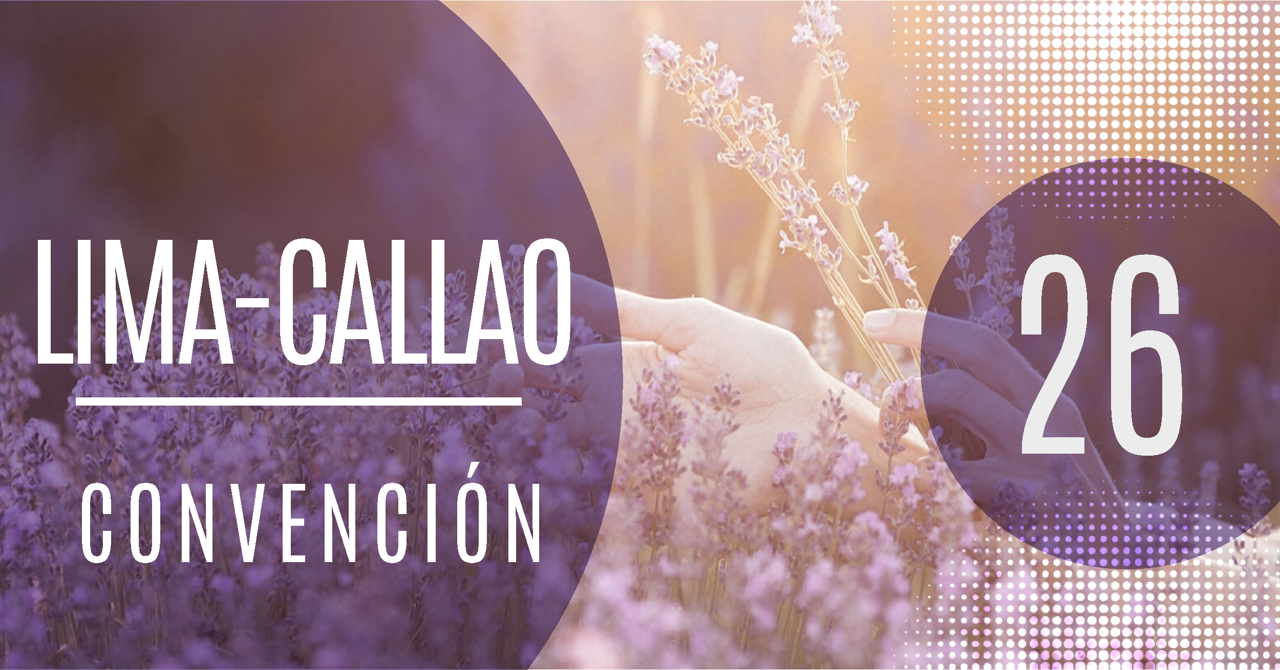 Convención Nacional 2026